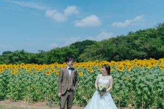 ハイブリッドサンフラワーで夏らしさ満点のウェディングフォト!