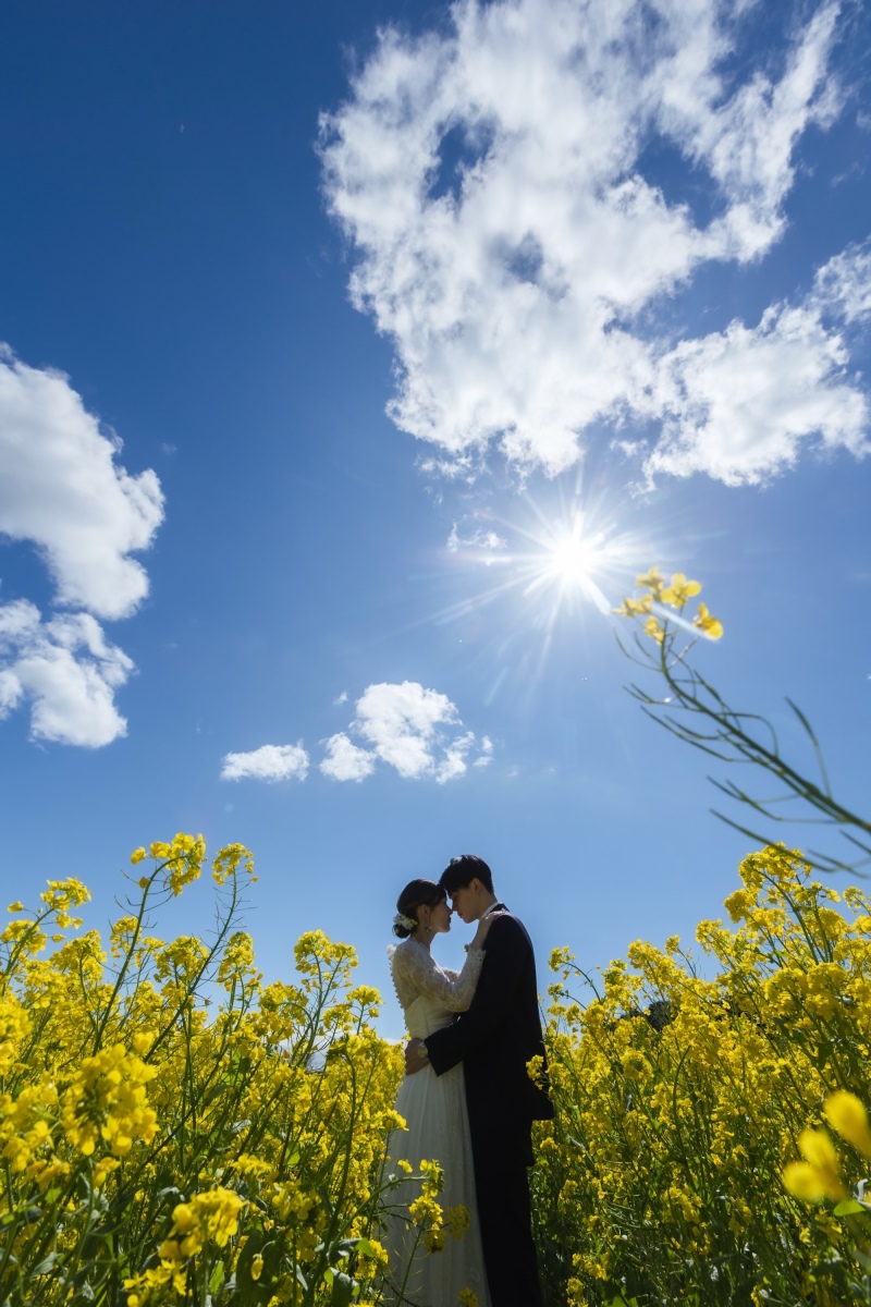 春の彩りに包まれて。河津桜と伊豆の絶景散歩。