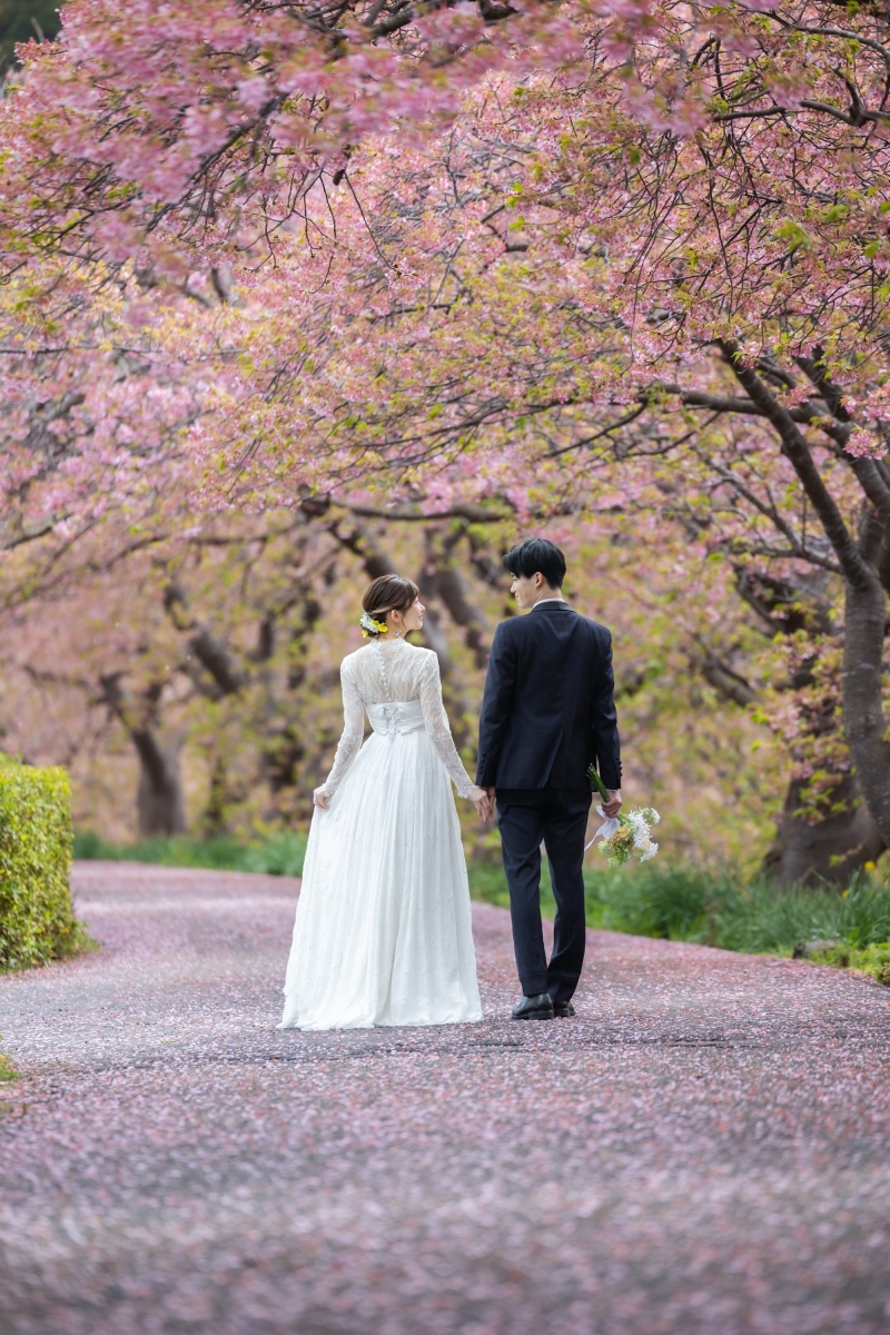 春の彩りに包まれて。河津桜と伊豆の絶景散歩。
