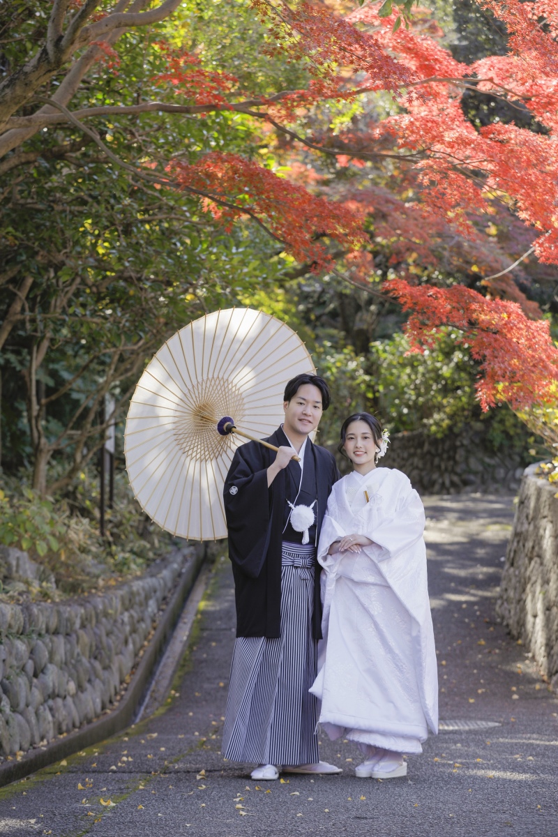 大 人 気”紅葉”のロケーション撮影