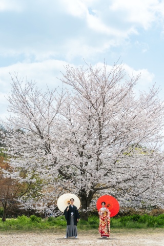 4月8日の昭和記念公園の春のお花