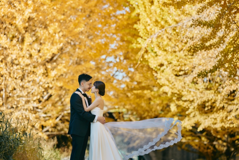 イチョウと洋装でエレガント撮影✨