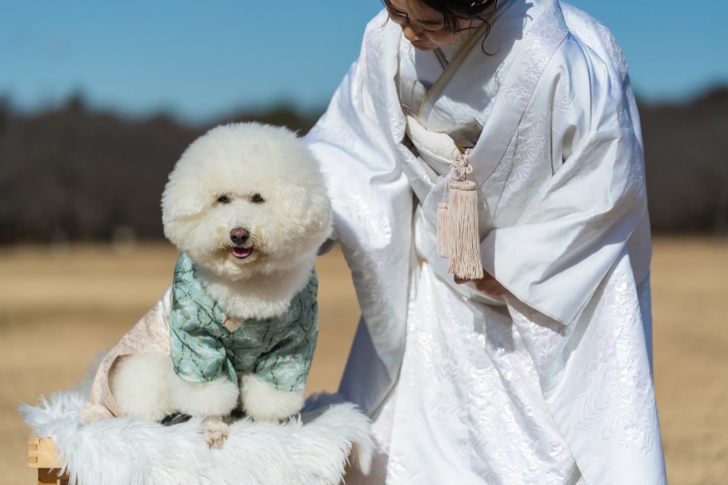 12月和装ロケーション＋犬