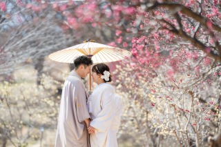 梅の花が綺麗な３月の昭和記念公園