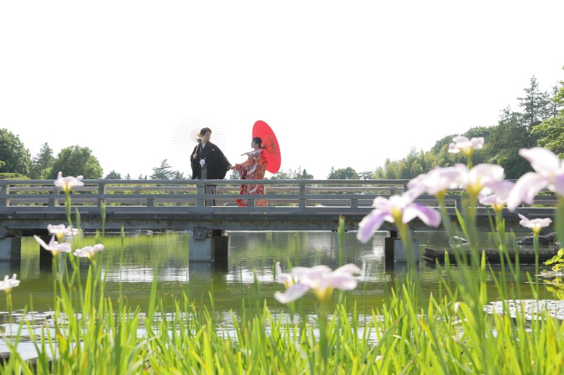 昭和記念公園・日本庭園