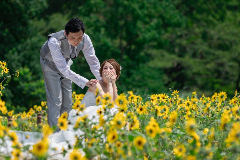 満開のひまわりとともに