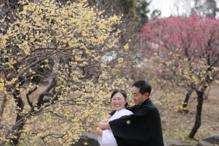 昭和記念公園の梅の花