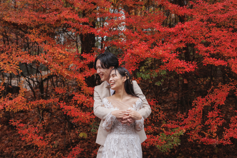 紅葉ロケーションのご紹介