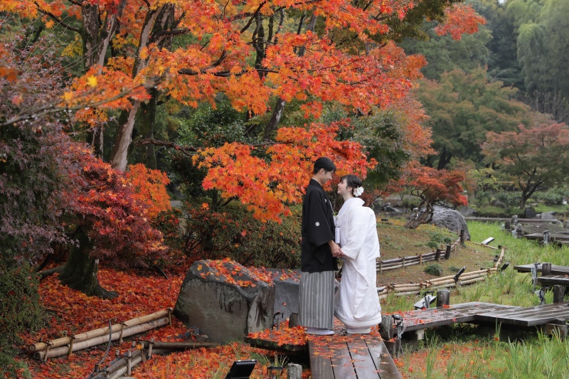 昭和記念公園　秋の雨ロケーション