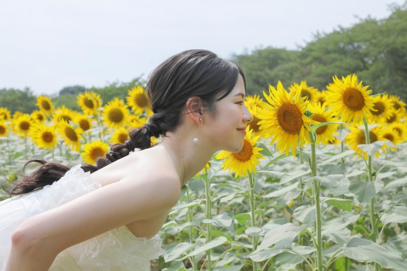 夏の撮影プラン