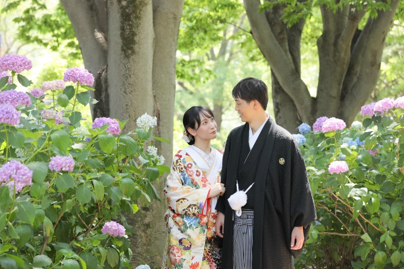 昭和記念公園の紫陽花