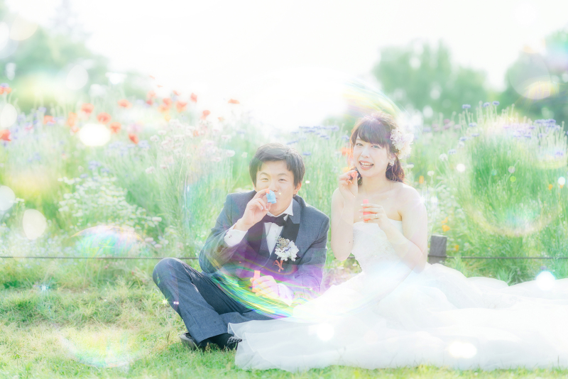 昭和記念公園洋和ロケーション