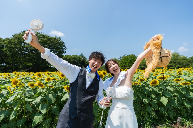 昭和記念公園のひまわり