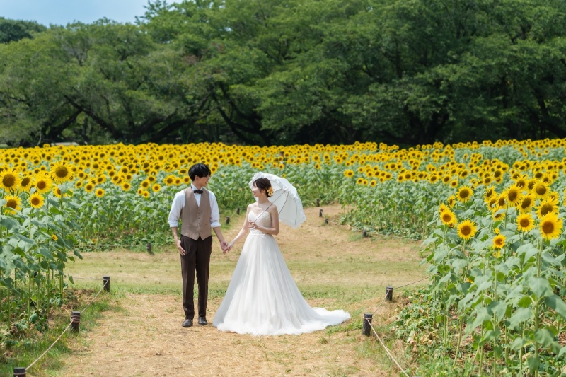 ひまわり以外の撮影スポットのご紹介