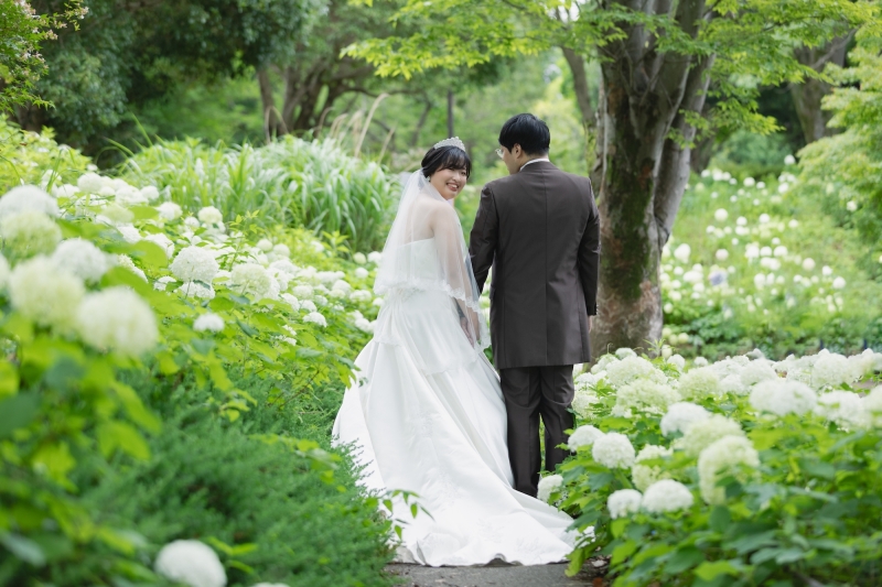 紫陽花・新緑