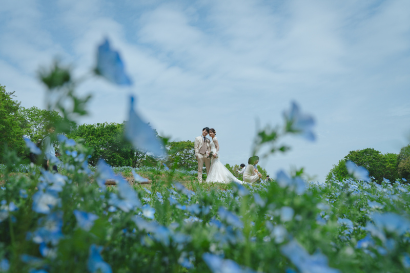 【 昭和記念公園 】ネモフィラと新緑