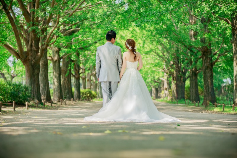 満開のひまわりとともに