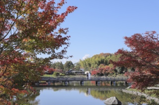 日本庭園ロケーション