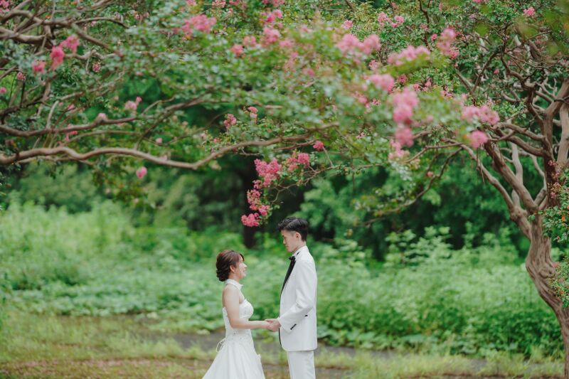 お花の綺麗な季節