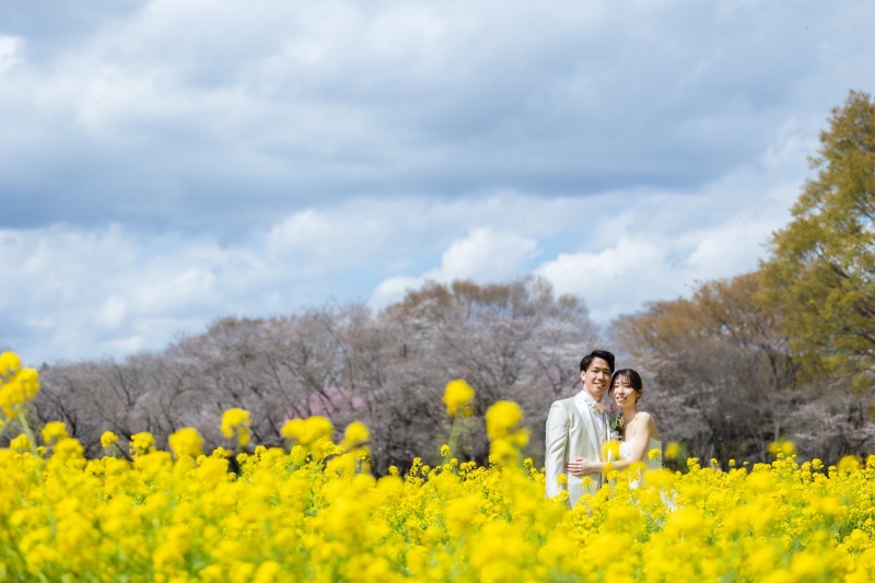 春爛漫!桜と菜の花、愛犬と叶えるウェディングフォト