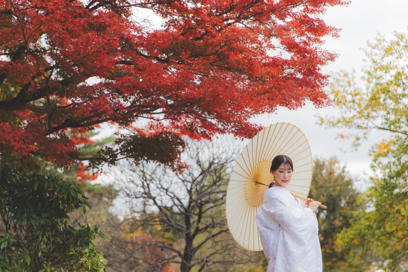 紅葉の昭和記念公園