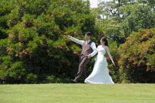 夏の新緑ロケーション