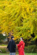 赤無垢 × 日本庭園 × 紅葉