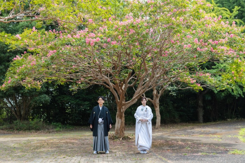 相性バッチリの和装✖️向日葵