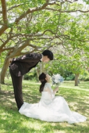 新緑・紫陽花・青空