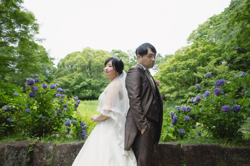 紫陽花・新緑