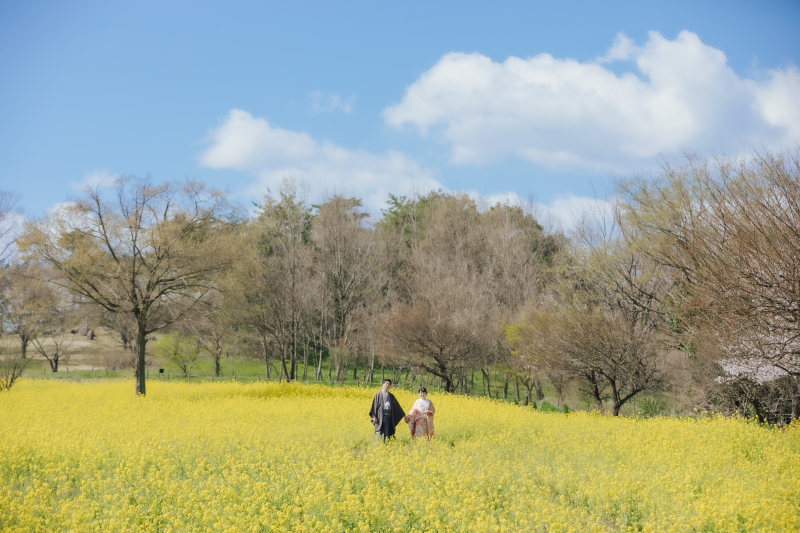 菜の花と桜に囲まれて