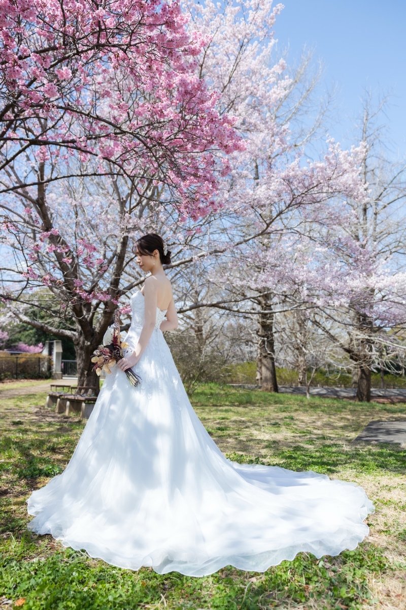 春爛漫!桜と菜の花、愛犬と叶えるウェディングフォト