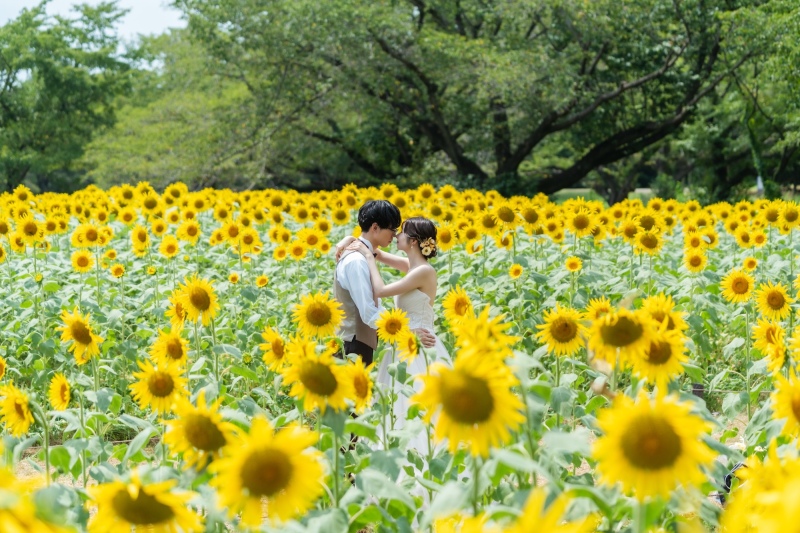 ひまわり以外の撮影スポットのご紹介