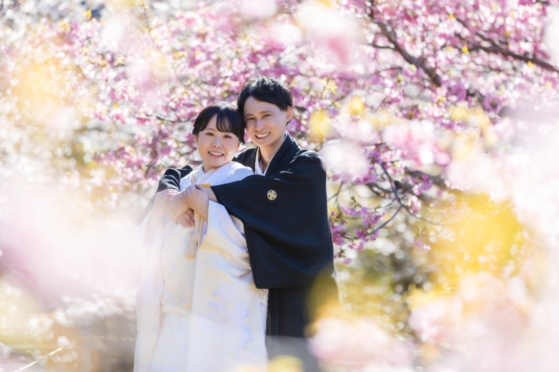 伊豆の桜
