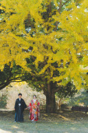 昭和記念公園の紅葉ロケ