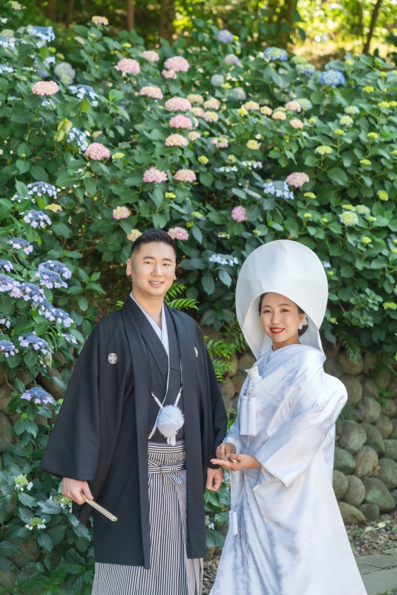 人気の紫陽花ロケーション