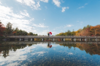 紅葉の昭和記念公園