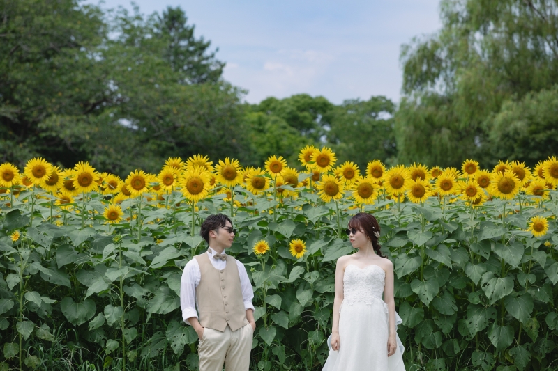 夏を満喫!昭和記念公園でひまわり撮影!!