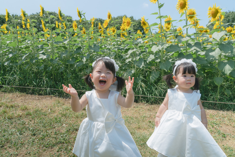 家族でひまわりと!