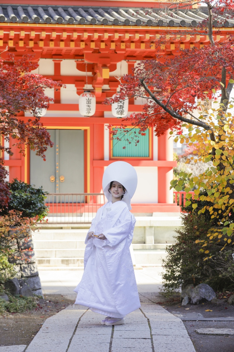 大 人 気”紅葉”のロケーション撮影
