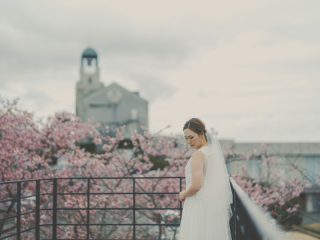 河津桜と撮るフォトウェディング、ご予約受付中！