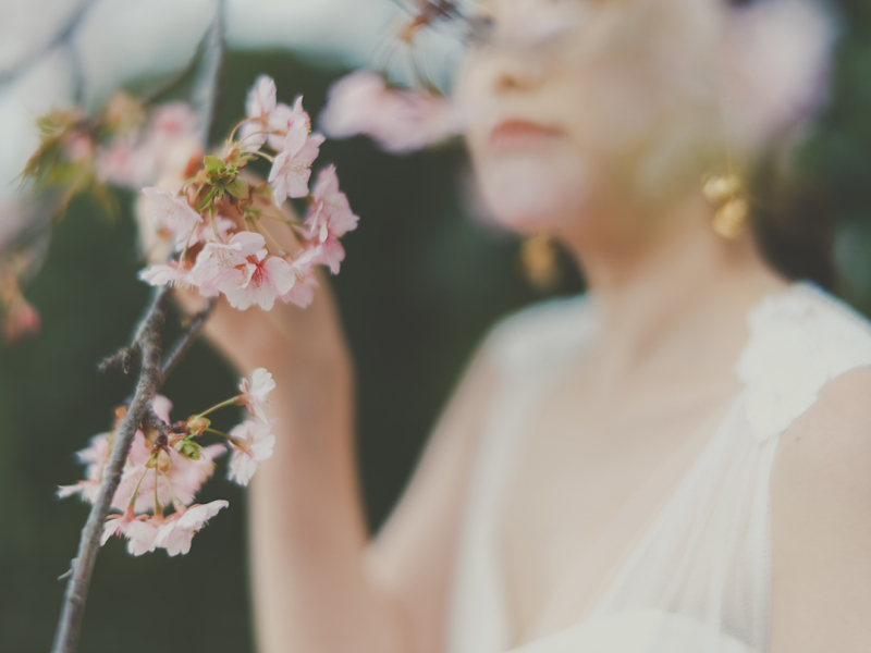 河津桜と撮るフォトウェディング、ご予約受付中！