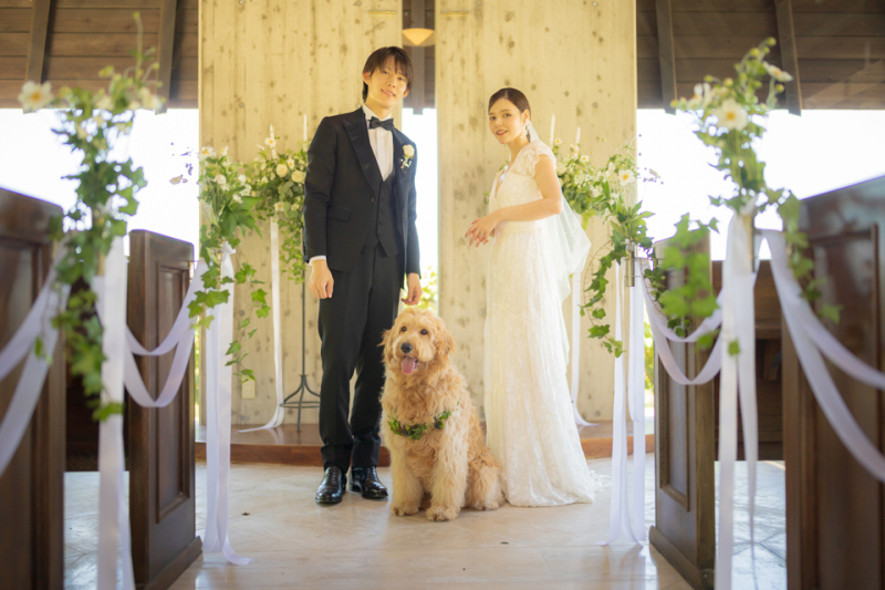 愛犬と撮るフォトウェディング