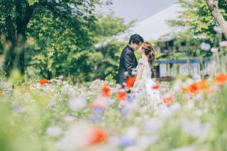 春になったらお花撮影