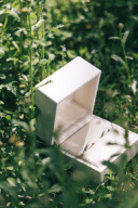 サプライズをもう一度