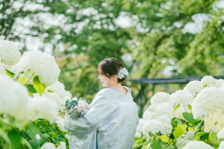 夏季撮影予約受付中