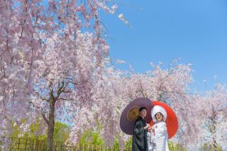 国指定名勝 楽山園撮影レポートアップしました♪