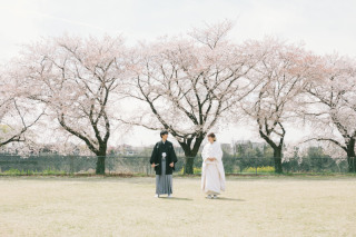 桜ロケーション予約受け付け中