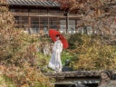 紅葉撮影お早めに....！