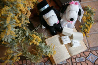 洋装和装1着ずつスタジオプラン